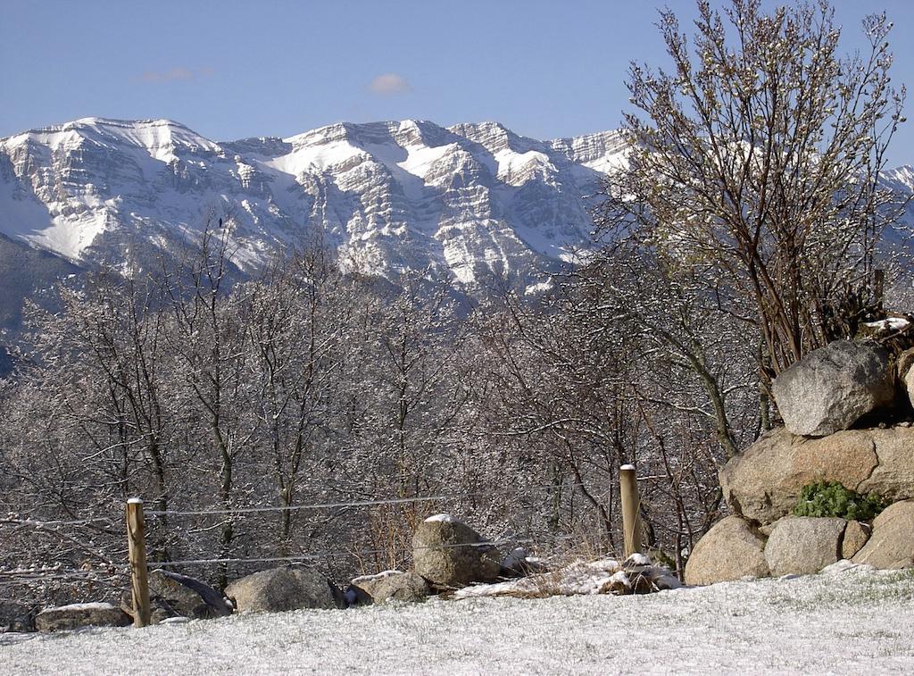 Casa Rural Calrei Konuk evi Lles Dış mekan fotoğraf