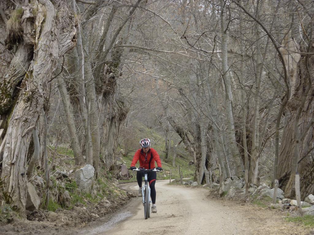 Casa Rural Calrei Konuk evi Lles Dış mekan fotoğraf