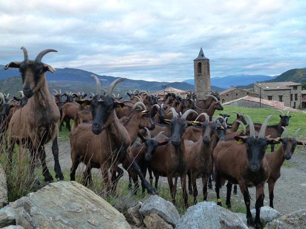 Casa Rural Calrei Konuk evi Lles Dış mekan fotoğraf