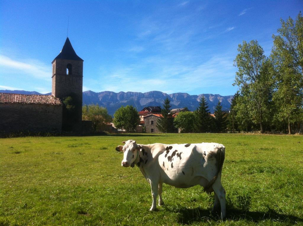 Casa Rural Calrei Konuk evi Lles Oda fotoğraf